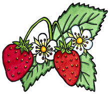 Load image into Gallery viewer, ST483 - Strawberries - Pack of 12