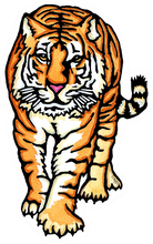 Load image into Gallery viewer, ST418: Tiger Sticker - Pack of 12