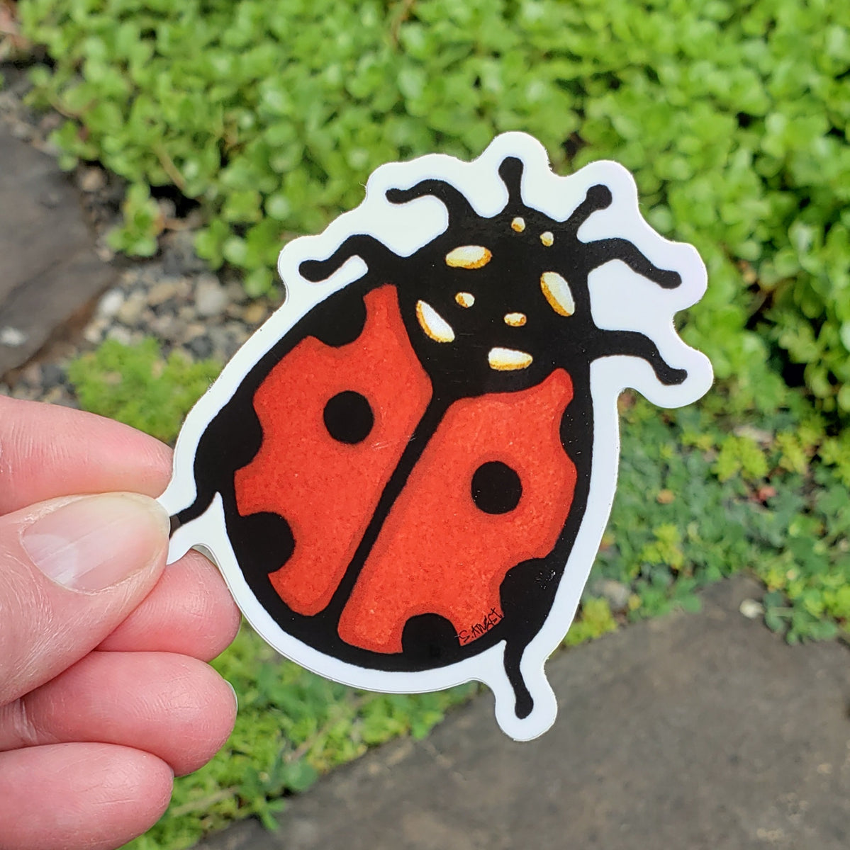 ST427: Ladybug Sticker - Pack of 12 – Sarah Angst Wholesale
