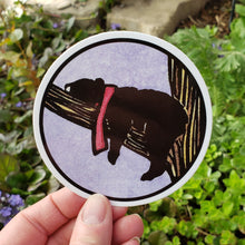 Load image into Gallery viewer, ST324: Snoozin Black Bear Sticker - Pack of 12