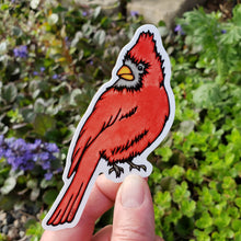 Load image into Gallery viewer, ST346: Cardinal - Pack of 12