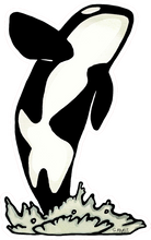 Load image into Gallery viewer, ST266: Orca Sticker - Pack of 12