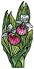 Load image into Gallery viewer, ST280: Lady Slipper Sticker - Pack of 12