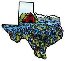 Load image into Gallery viewer, ST284: Texas State Sticker - Pack of 12