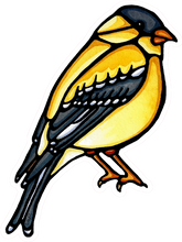 Load image into Gallery viewer, ST292: Yellow Bird Sticker - Pack of 12