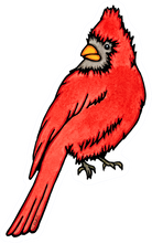Load image into Gallery viewer, ST346: Cardinal - Pack of 12