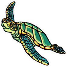 Load image into Gallery viewer, ST348: Sea Turtle - Pack of 12