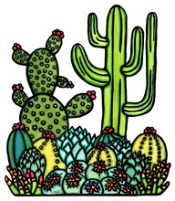 Load image into Gallery viewer, ST354: Cacti - Pack of 12