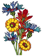 Load image into Gallery viewer, ST356: Wildflowers - Pack of 12