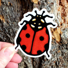Load image into Gallery viewer, ST427: Ladybug Sticker - Pack of 12
