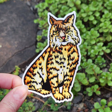 Load image into Gallery viewer, ST481 - Bobcat - Pack of 12
