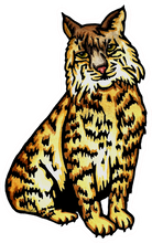 Load image into Gallery viewer, ST481 - Bobcat - Pack of 12
