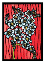 Load image into Gallery viewer, ARC-SA193 Forget Me Not - Pack of 12

