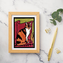 Load image into Gallery viewer, SA001: Calico Cat - Pack of 6
