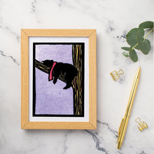 Load image into Gallery viewer, SA007: Snoozin&#39; Black Bear - Pack of 6

