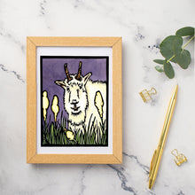 Load image into Gallery viewer, SA032: Peek-A-Boo - Pack of 6
