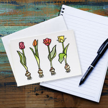 Load image into Gallery viewer, SA038: Tulips - Pack of 6
