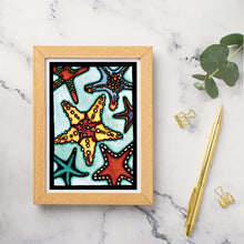 Load image into Gallery viewer, SA146: Starfish - Pack of 6
