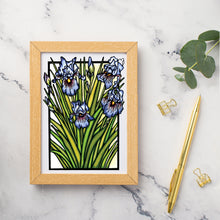 Load image into Gallery viewer, SA168: Iris - Pack of 6
