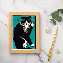 Load image into Gallery viewer, SA217: Serendipity - Pack of 6
