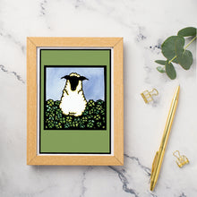 Load image into Gallery viewer, SA309: Sheep in Clover - Pack of 6
