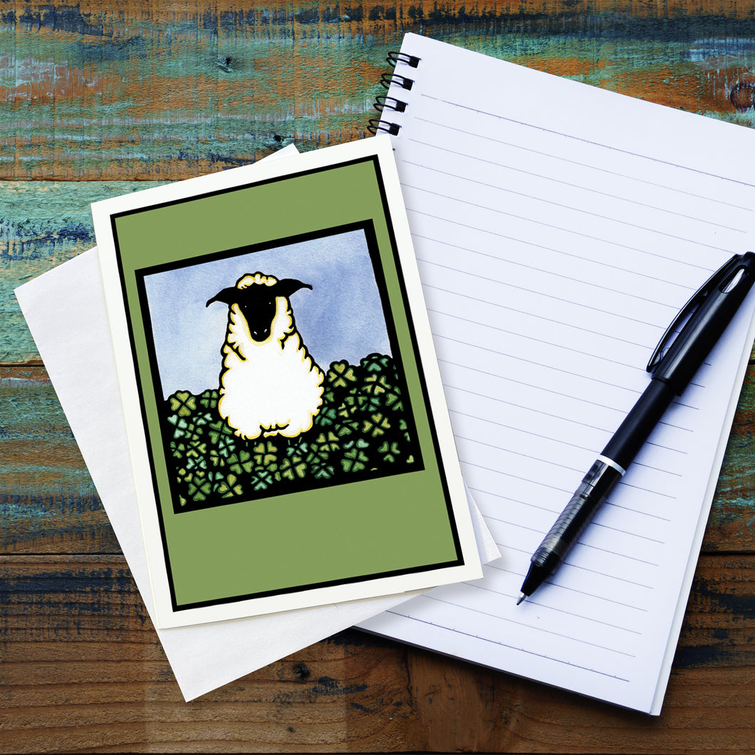 SA309: Sheep in Clover - Pack of 6