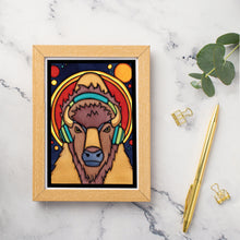 Load image into Gallery viewer, SA371: Buffalo Beats - Pack of 6
