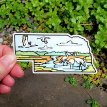 Load image into Gallery viewer, ST445: Nebraska State Sandhill Cranes Sticker - Pack of 12
