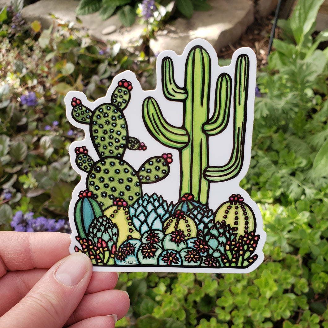 ST354: Cacti - Pack of 12