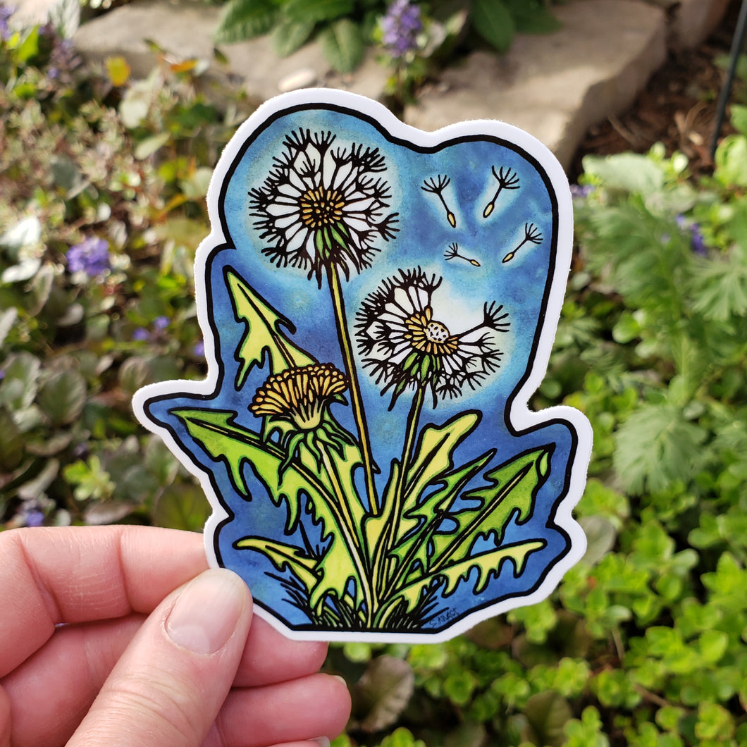 ST299: Dandelions Sticker - Pack of 12