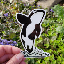Load image into Gallery viewer, ST266: Orca Sticker - Pack of 12
