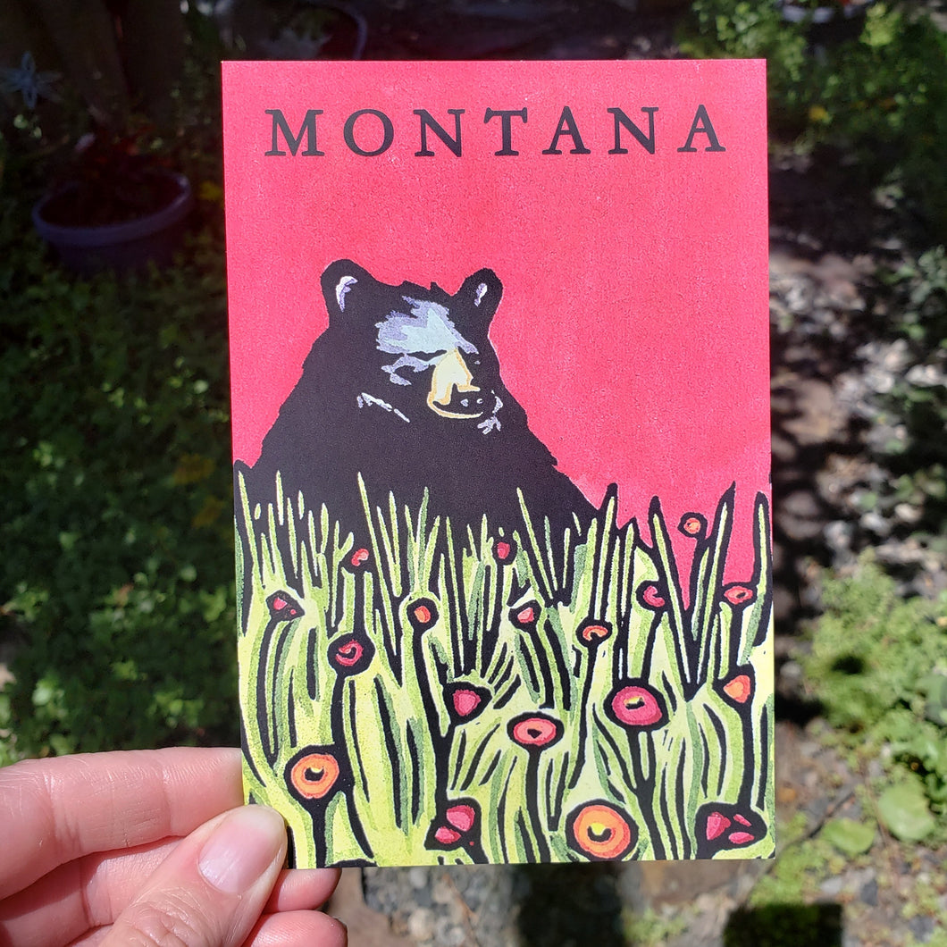 Postcard - Montana Naptime