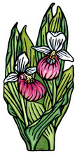 Load image into Gallery viewer, ST280: Lady Slipper Sticker - Pack of 12
