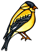 Load image into Gallery viewer, ST292: Yellow Bird Sticker - Pack of 12
