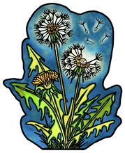 Load image into Gallery viewer, ST299: Dandelions Sticker - Pack of 12
