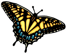 Load image into Gallery viewer, ST344: Swallowtail - Pack of 12

