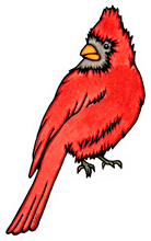 Load image into Gallery viewer, ST346: Cardinal - Pack of 12
