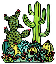 Load image into Gallery viewer, ST354: Cacti - Pack of 12
