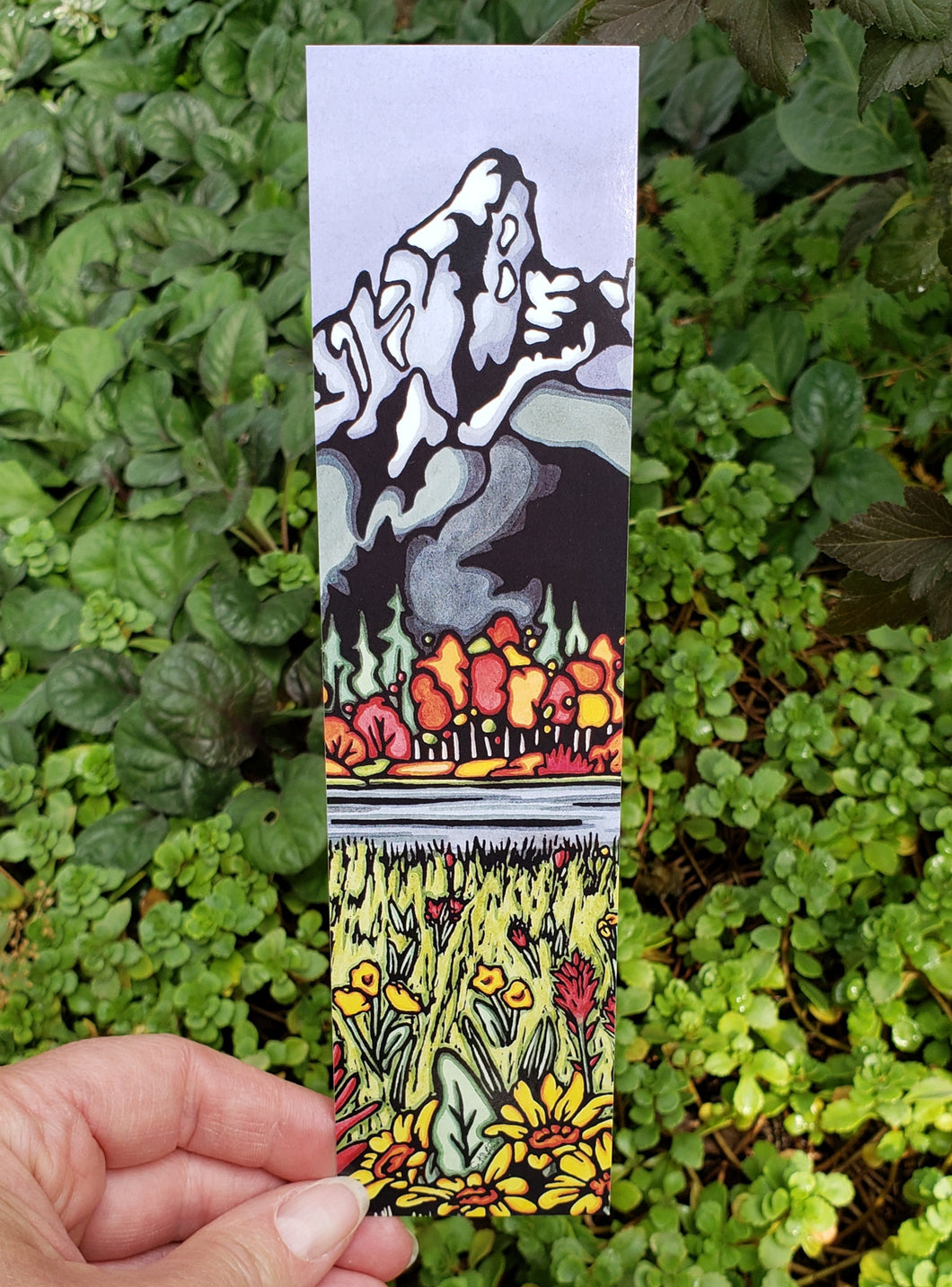 Bookmarks - Tetons